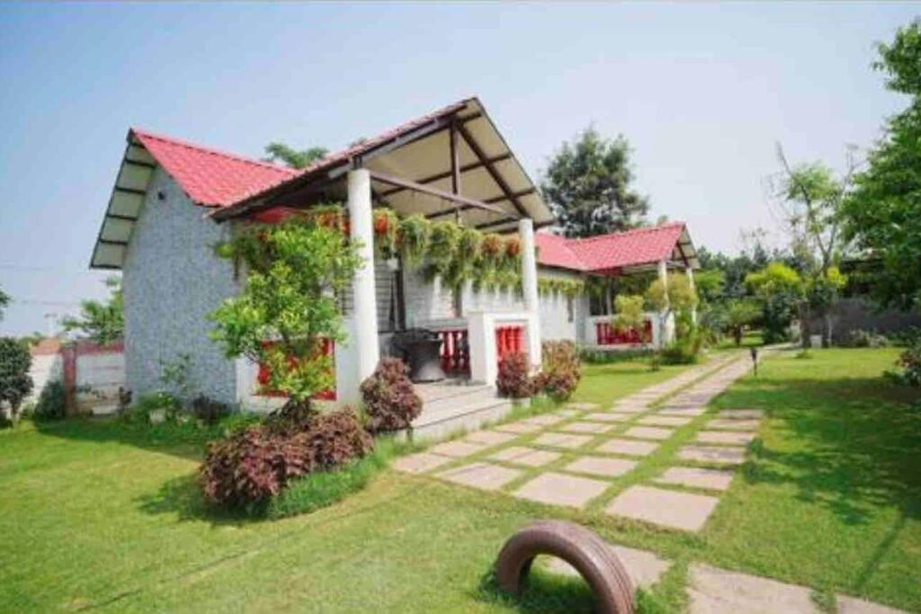 Achal Farm